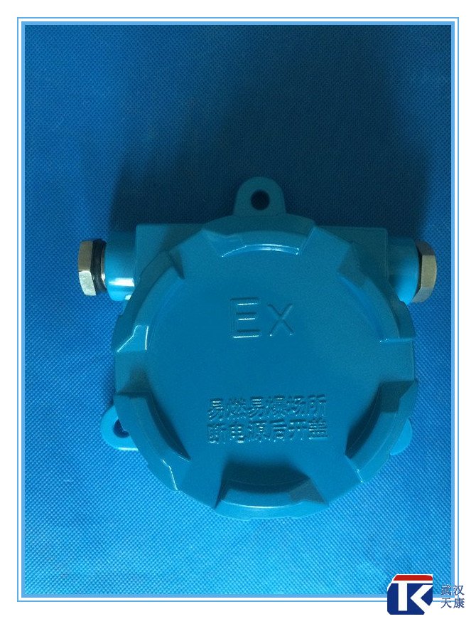 壁掛式防爆熱電阻/pt100、4-20mA輸出